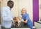 Woman veterinarian examines a dog in a veterinary clinic