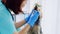 Woman veterinarian examining yorkshire terrier teeth