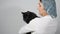 woman veterinarian holds a beautiful black cat, slow motion
