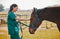 Woman veterinary, horse and medical care outdoor for health and wellness in the countryside. Happy doctor, professional