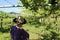 A woman views Albarino Grapevines in MeaÃ±o Spain