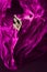 Woman in violet waving silk dress as flame