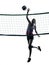 Woman volleyball players isolated silhouette