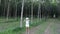 Woman with VR glasses in the forest