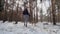 Woman walk out her cute shepherd dog in collar on leash outdoors in winter snowy pine forest
