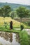 Woman walking against amazing Jatiluwih rice terraces in Bali