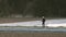 Woman walking in Asparagus plantation in spring