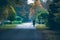 Woman walking in autumn towards intersection at dusk.