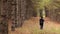 Woman walking away with bunch of branches in autumn through pine forest. Walk through coniferous forest