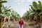 Woman walking on the bannana plantation