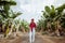 Woman walking on the bannana plantation