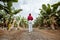 Woman walking on the bannana plantation