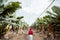 Woman walking on the bannana plantation