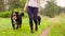 Woman walking with bernese shepherd dogs