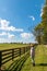 Woman walking country road along horse farms