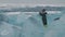 Woman walking on Diamond beach in Iceland around Jokulsarlon Iceberg beach. Crystal ice melting on volcanic beach In