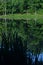 Woman walking on distant shore of pond, trees reflected in water