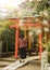 Woman walking at the entrance of a tunnel of red Torii portal in