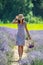 Woman walking in the flowering lavender field and gathering flowers