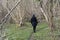 Woman walking on a footpath in a forest