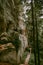 Woman walking on the forest hiking trail beside the Licu Langu sandstone cliff near Gauja river in Latvia