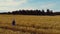 Woman walking through the golden cereal field