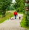 Woman walking her dogs