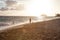 Woman walking her dogs down a tropical beach lit by the sun.