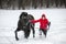 Woman walking horse on lunge