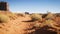 Woman walking in Monument Valley with red rocks overview.