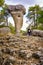 Woman walking next to the incredible eroded rock formation of the Enchanted City