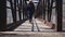 Woman walking over bridge in forest preserve