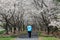 Woman Walking Path Under Canopy of Cherry Trees Reston VA