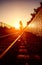 Woman is walking on a railways in the rays of a sunset