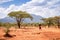 Woman walking through savanna, Kenya