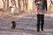 Woman Walking Scottish Terrier Dog