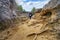 Woman walking in a strange landscape of large rocks and tree roots on the ground. Enchanted City,