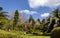 Woman walking in Terra Nostra park, cyca plants, Furnas