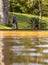 Woman walking in Terra Nostra park, thermal water pool, Azores