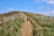 A woman walking toward the peak of a hill full of flame grass during Autumn at Jeju Island, South Korea