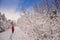 Woman walking in the trail in winter