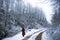 Woman Walking in Winter Forest