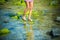 Woman Walks Alone on a Green Reef