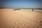 Woman walks along sandy beach of the Indian Ocean coast, travels to Southeast Asia Sri Lanka island