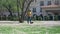 Woman walks with cute dachshund dog along chamomile lawn