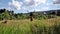 A woman walks happy and free breathing fresh air through a grassy garden after the covid pandemic