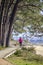 A woman walks with her dog on a wooden walkway