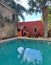 Woman walks next to a pool, she feels relaxed, fulfilled, calm, calm and well-being, she sunbathes in freedom and peace