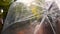 Woman walks outdoors under transparent umbrella during rain. Fall season