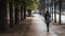 A woman walks in the park in Paris after the rain 2